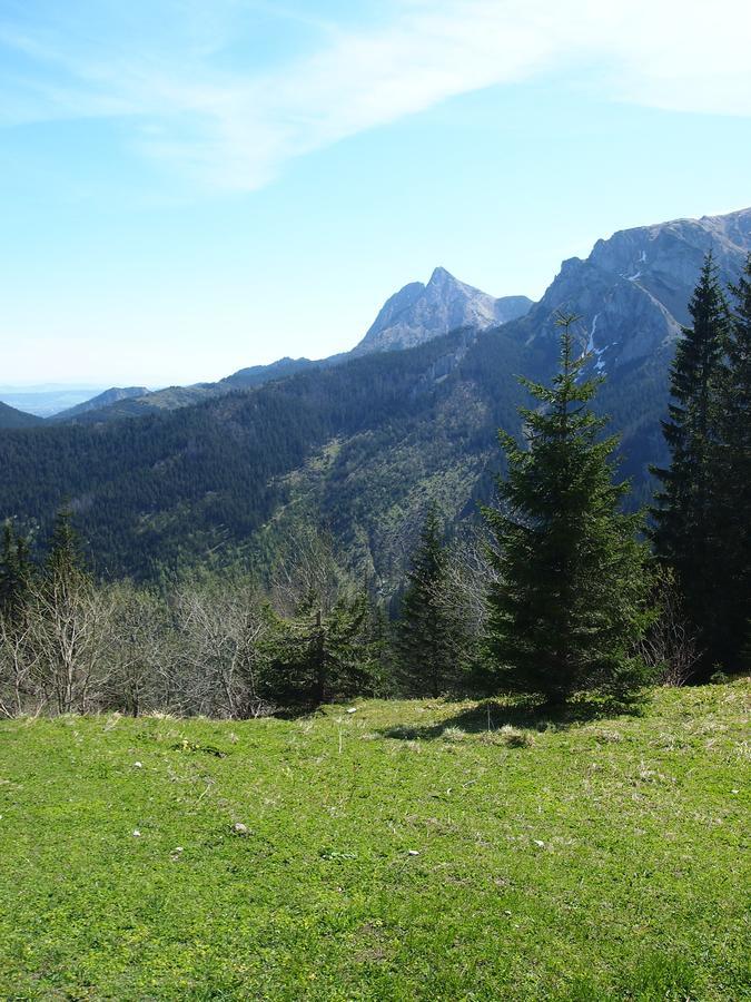 Dziko Hanka Kościelisko Exterior foto